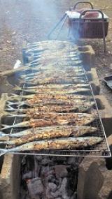 �ա����ϥС��٥��塼������Ǥ�